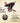 The Bald Eagle: The Improbable Journey of America's