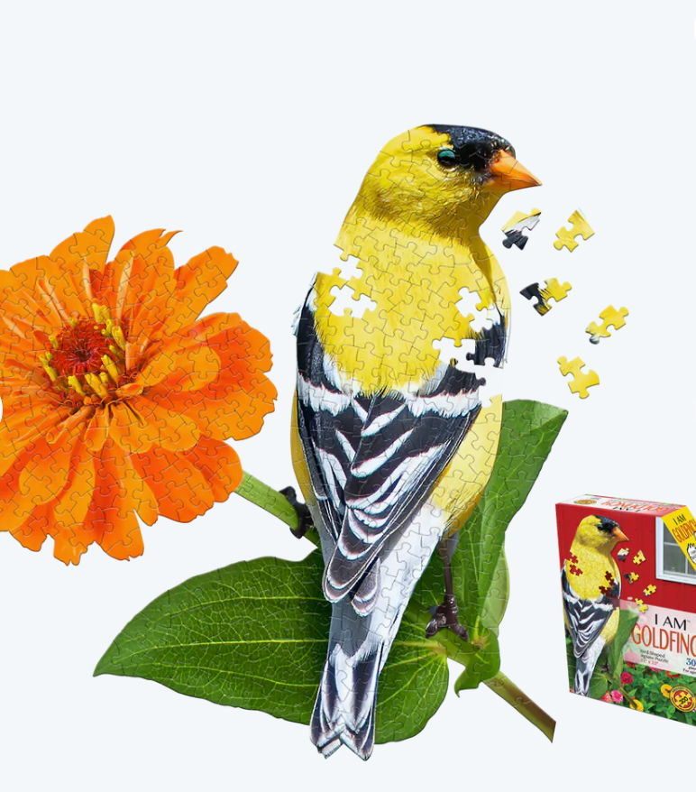 I AM GOLDFINCH 300 Environment for the Americas