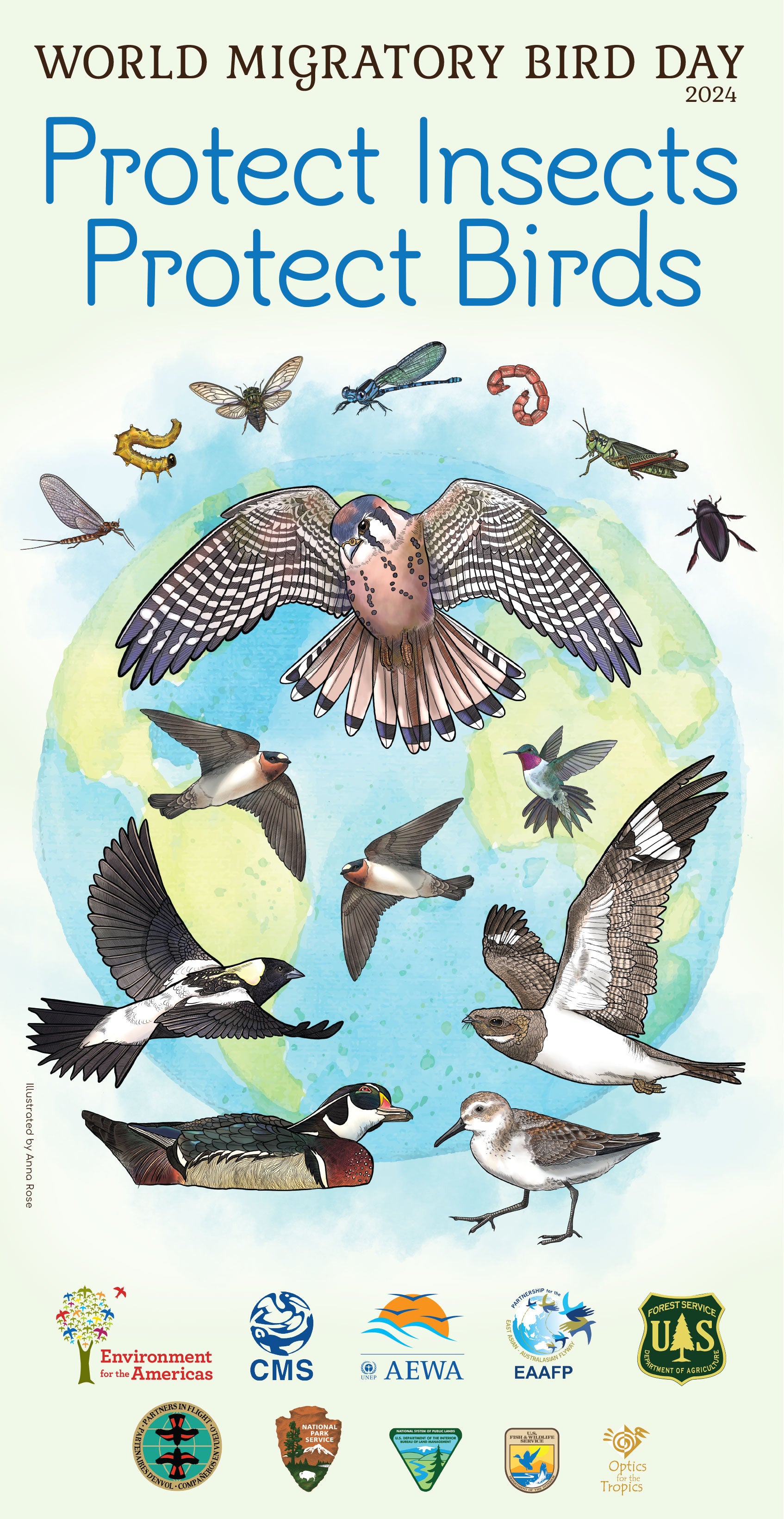 Protect insects, Protects Birds Pamphlet – Environment for the Americas