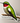 Ruby-throated Hummingbird Sticker