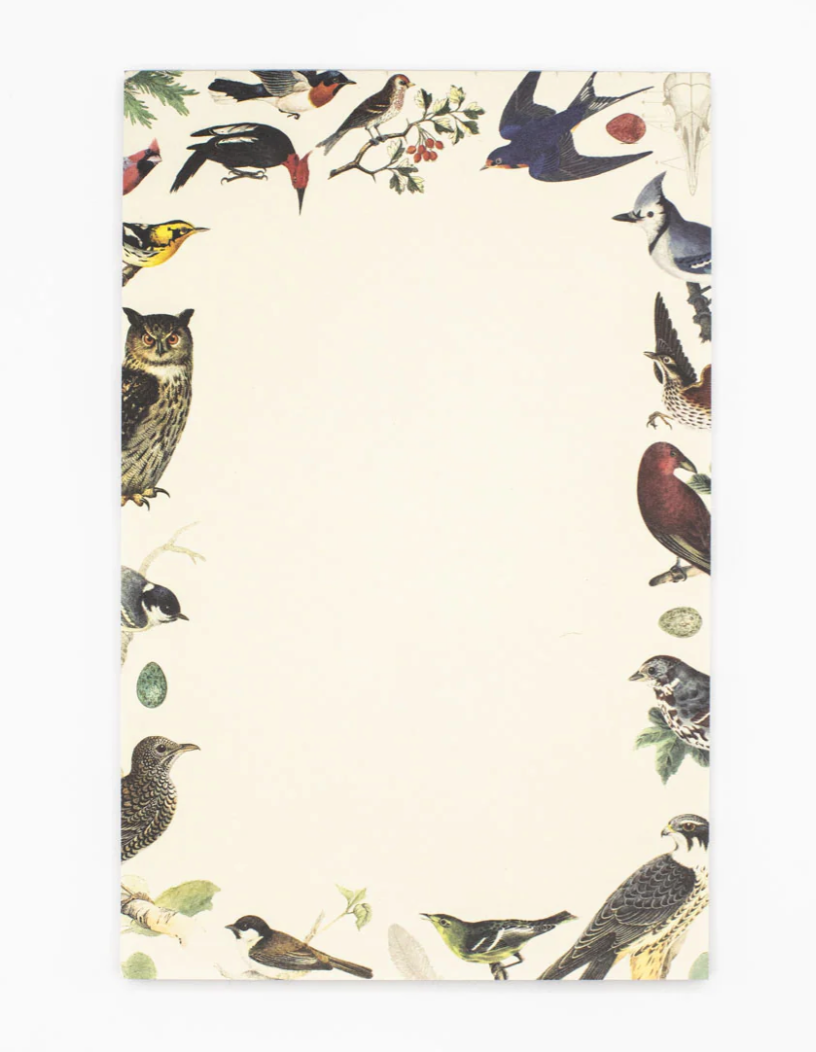 Bird Notepads - Notepad β Environment for the Americas