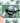 A black and white bird with a long tail stands in front of several purple and white wildflowers. The background is a light green. The bird is perched on a rock or branch.