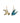 Bird Earrings of WMBD 2025